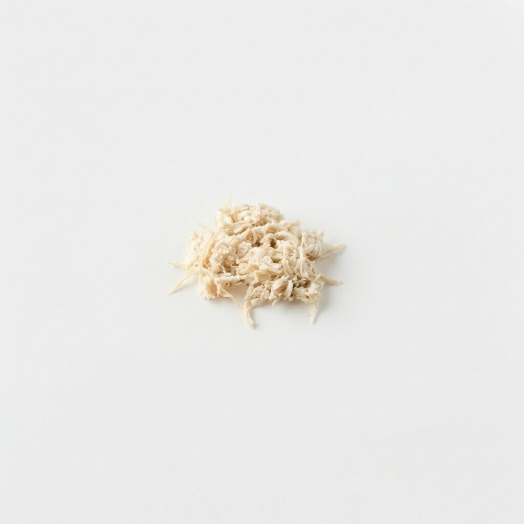 Huhn - 9+ months