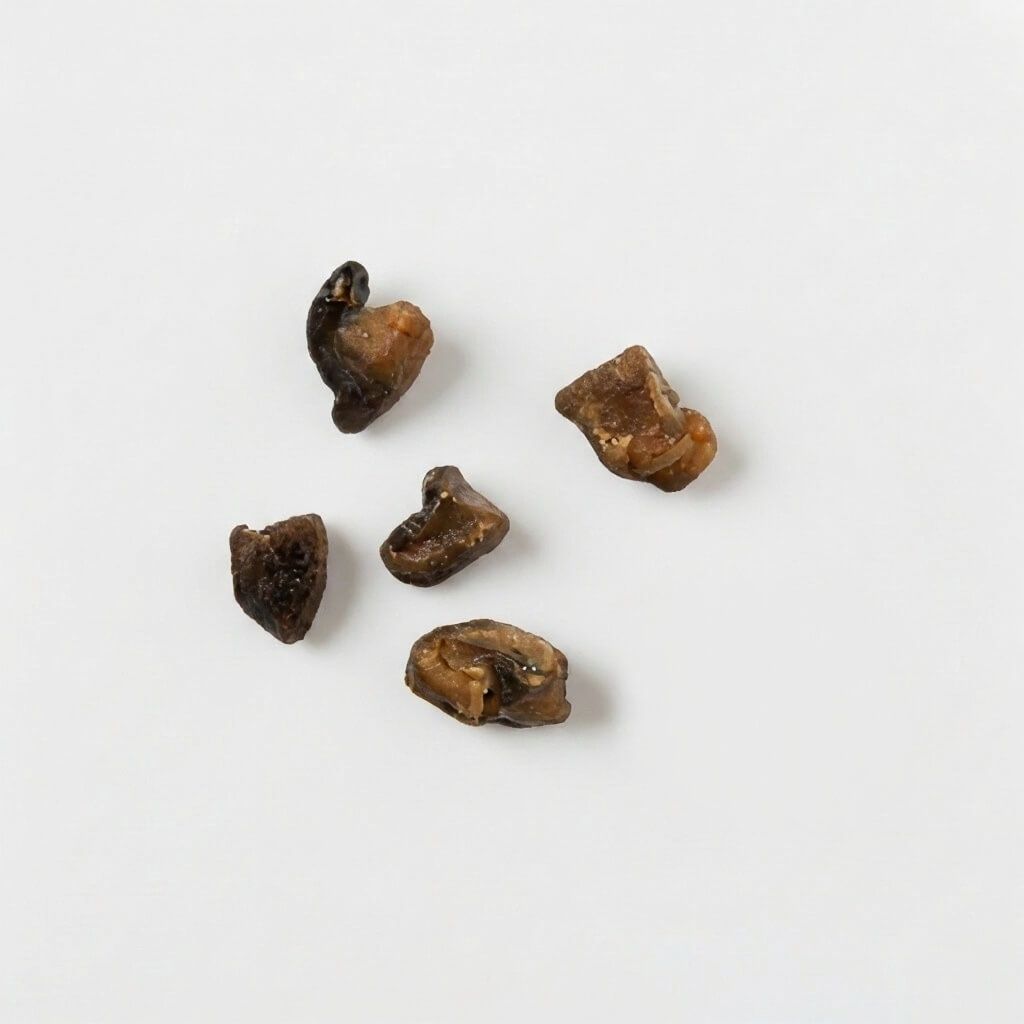 Weißer Champignon - 9+ months