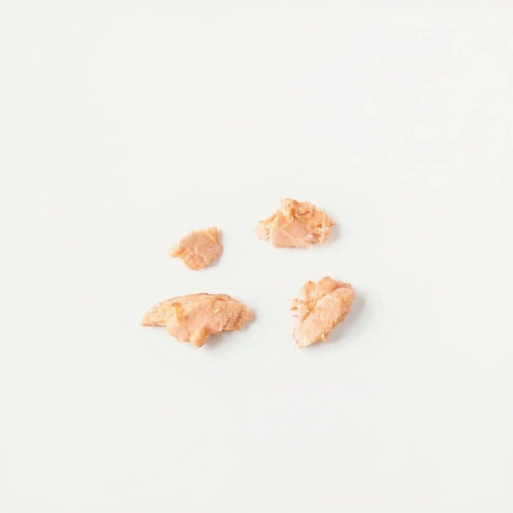 Lachs - 9+ months